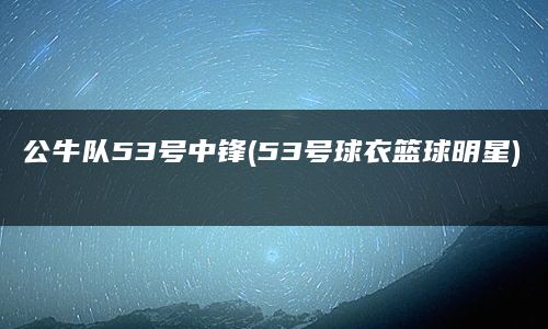 公牛队53号中锋(53号球衣篮球明星)