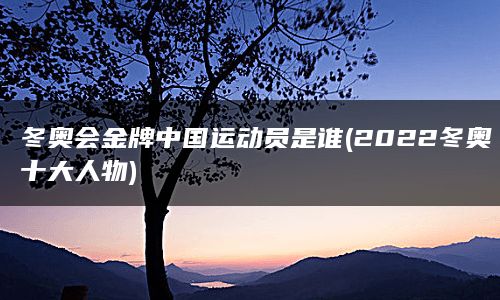 冬奥会金牌中国运动员是谁(2022冬奥十大人物)