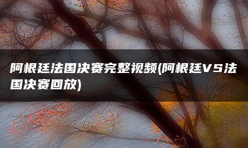 阿根廷法国决赛完整视频(阿根廷VS法国决赛回放)