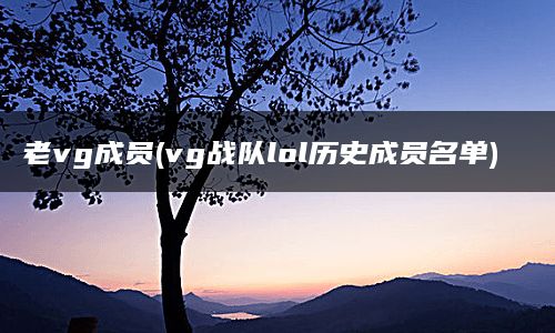 老vg成员(vg战队lol历史成员名单)