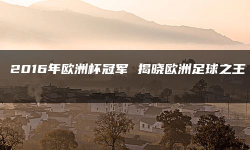 2016年欧洲杯冠军 揭晓欧洲足球之王