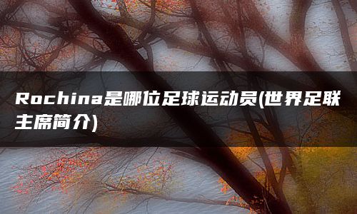 Rochina是哪位足球运动员(世界足联主席简介)